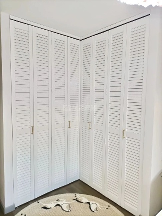 衣帽间设计类型：L型、一字型、二字型等实用方案(图2)