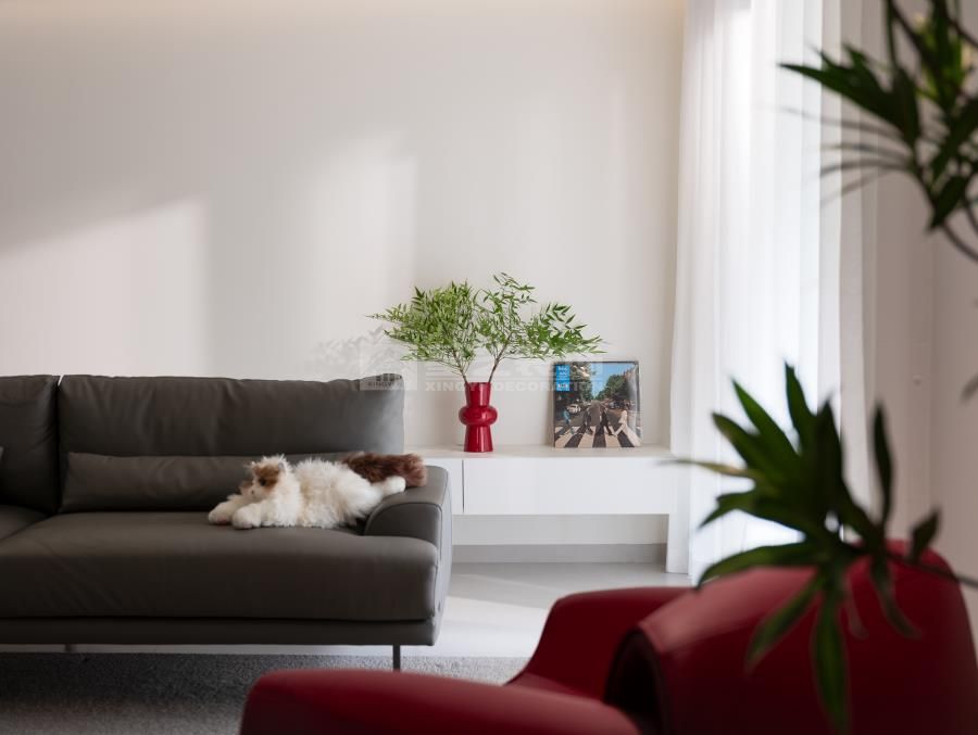 137方极简生活(图3)