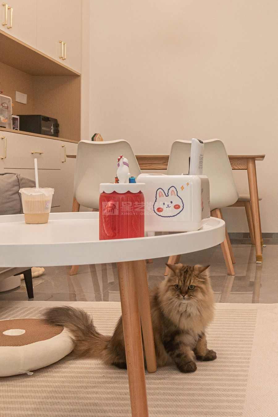 双生林光间北欧风设计，开放式布局营造通透猫居空间(图3)