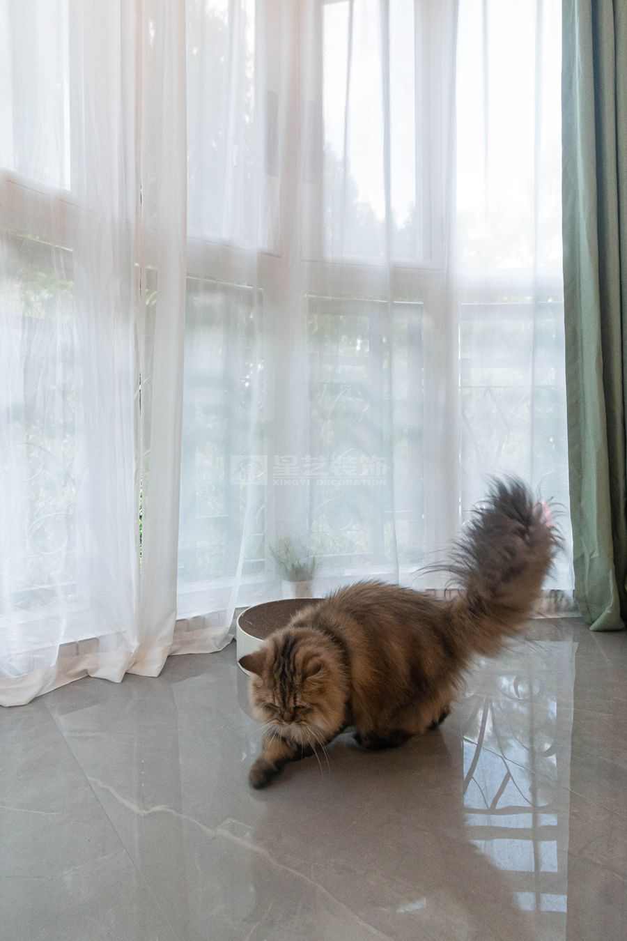 双生林光间北欧风设计，开放式布局营造通透猫居空间(图14)