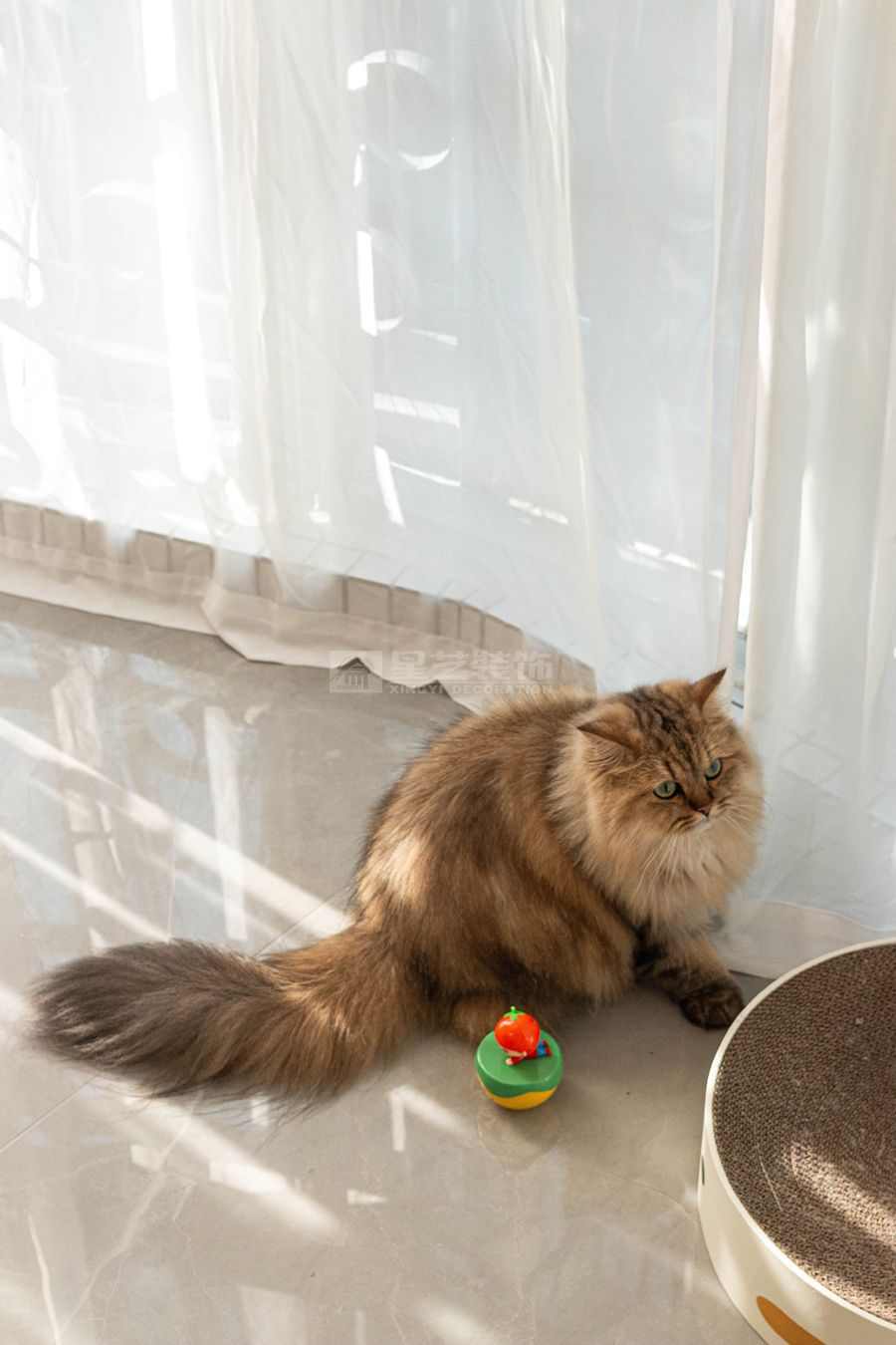 双生林光间北欧风设计，开放式布局营造通透猫居空间(图16)