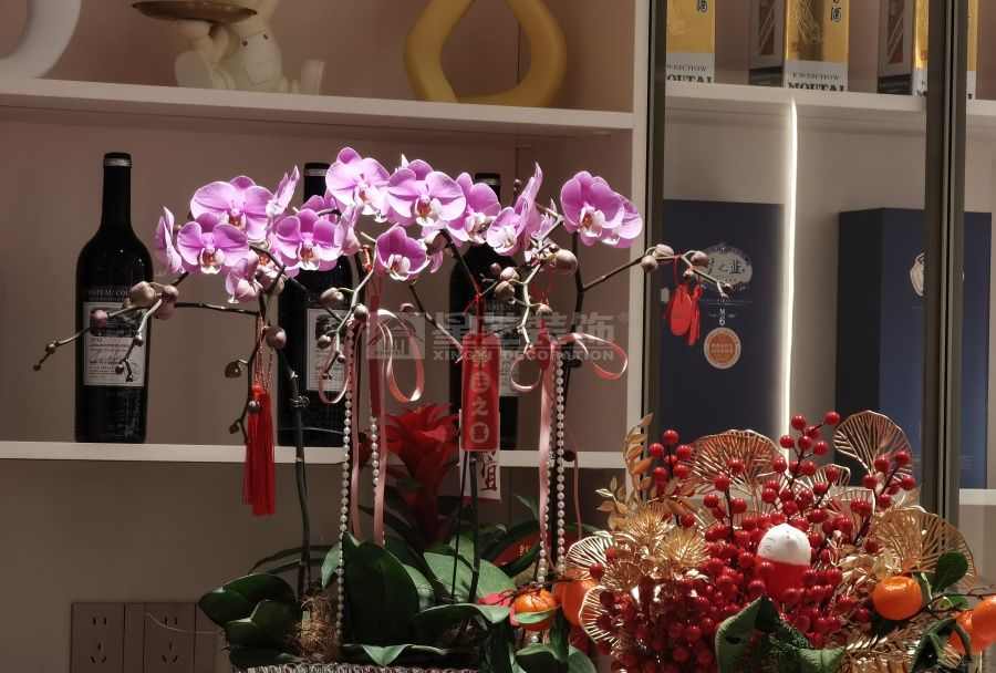 无主灯悬浮设计打造现代家居光影魔术，中西双厨提升生活品质(图21)