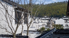 融创玖溪桃花源(图6)